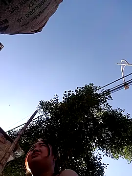 Bee-bgolden online show from November 26, 2025, 7:31 am