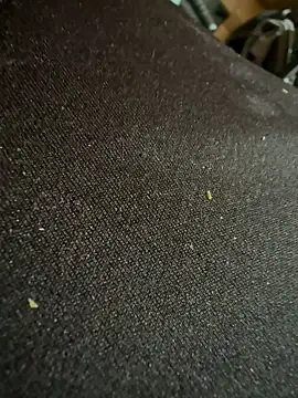 Snapshot of caramello-48888 chatting on February 16, 2026, 6:15 pm caramello-48888 online show from February 16, 2026, 6:15 pm