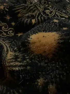 Snapshot of caramello-48888 chatting on April 2, 2026, 2:20 am caramello-48888 online show from April 2, 2026, 2:20 am