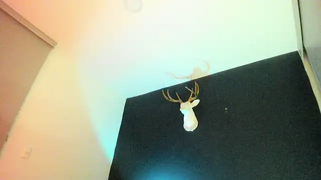 Snapshot of Zeus_Jeff chatting on February 19, 2026, 1:34 am Zeus Jeff online show from February 19, 2026, 1:34 am