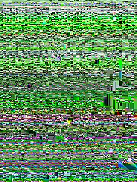 Snapshot of Kobhaktabhay chatting on November 8, 2025, 4:56 am Kobhaktabhay online show from November 8, 2025, 4:56 am