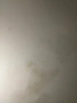 DamnDanny1994 online show from June 11, 2026, 1:49 am