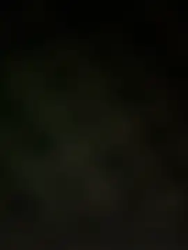 trickydickydaddy online show from March 13, 2026, 7:59 am