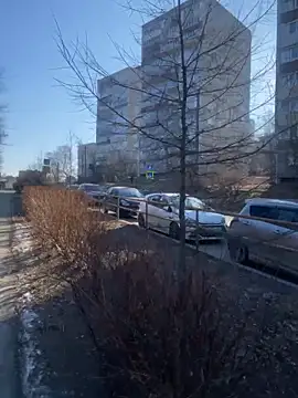 Dona Mafia online show from December 22, 2025, 1:57 am