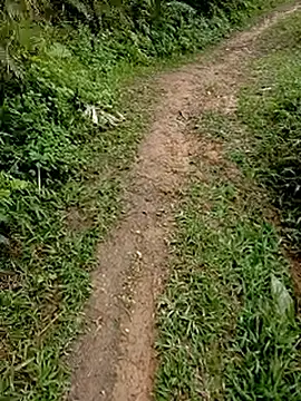 Cloud-wh online show from February 24, 2026, 3:37 am