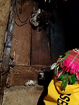 Snapshot of -Chua-90 chatting on January 12, 2026, 11:32 pm -Chua-90 online show from January 12, 2026, 11:32 pm