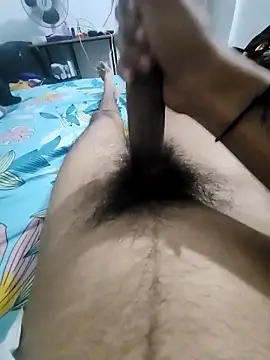 Noxvorlen online show from November 14, 2025, 7:56 pm