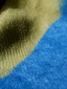 GG23MVP online show from November 30, 2025, 5:22 am