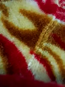 sangeeta lodhi online show from November 28, 2025, 6:10 pm