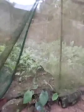 Snapshot of gugu0022 chatting on February 25, 2026, 11:25 pm gugu0022 online show from February 25, 2026, 11:25 pm