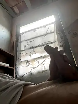 24 c online show from December 2, 2025, 11:04 am