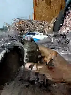 spermc online show from February 6, 2026, 4:10 pm