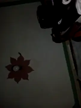 honeypot224 online show from March 15, 2026, 3:56 am