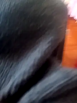 Jeison0323 online show from February 25, 2026, 8:29 pm