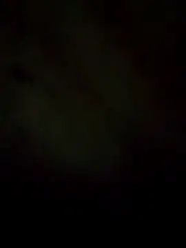 Rogerlima099 online show from March 14, 2026, 7:25 am