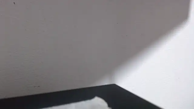 ebony cristal 1 online show from March 5, 2026, 3:02 am