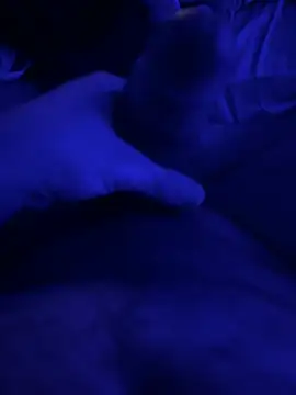 darknebula80 online show from February 14, 2026, 11:56 pm