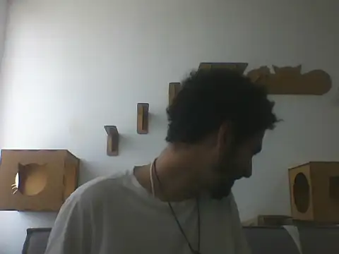 Temp7 online show from February 20, 2026, 1:11 pm