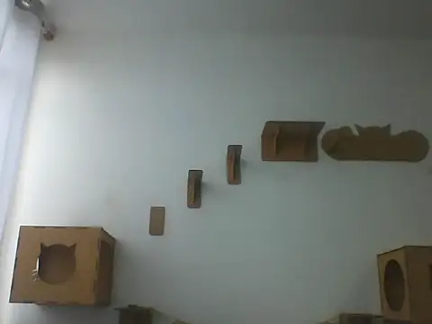 Temp7 online show from March 8, 2026, 11:36 am