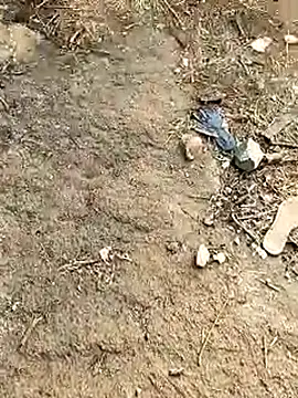 Meow buggie online show from January 13, 2026, 10:42 am