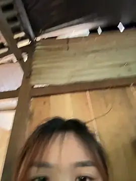 Snapshot of Spring-spring chatting on November 24, 2025, 5:40 am Spring-spring online show from November 24, 2025, 5:40 am