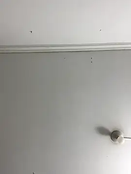 Rosa Vidal  online show from November 29, 2025, 6:55 pm