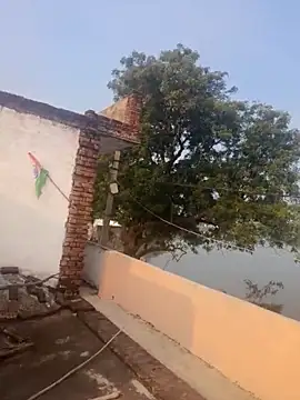 apka rockstarr online show from December 1, 2025, 2:49 am