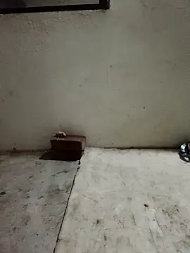 Sunenabhabh online show from April 5, 2026, 10:18 pm