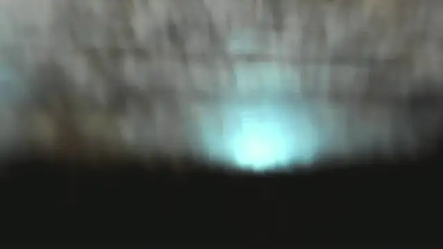 Izelevans online show from January 15, 2026, 12:43 pm