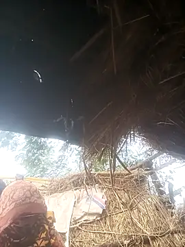 Hot srei online show from December 1, 2025, 4:17 am