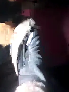 Snapshot of beba1100 chatting on November 30, 2025, 4:11 pm beba1100 online show from November 30, 2025, 4:11 pm