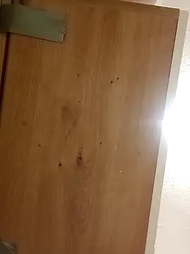 Snapshot of BushedScreed chatting on April 15, 2026, 9:26 pm BushedScreed online show from April 15, 2026, 9:26 pm