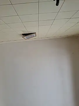 wakahoe online show from March 22, 2026, 4:54 pm