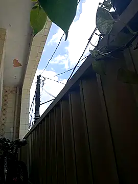 wakahoe online show from April 8, 2026, 1:33 pm