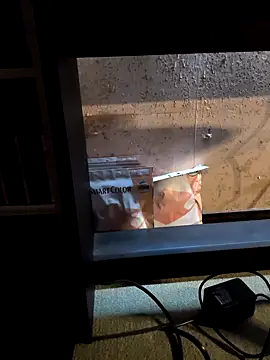 kuggttt online show from April 30, 2026, 5:25 am