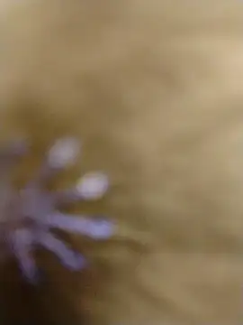 RASHMI SHARMA9 online show from February 16, 2026, 3:57 am