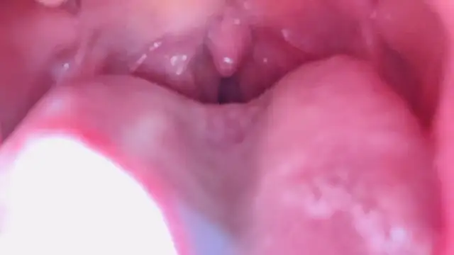 LT-333 online show from January 17, 2026, 7:17 pm