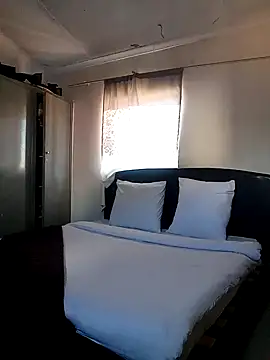 SeasonalCanvas138 online show from December 3, 2025, 1:53 pm