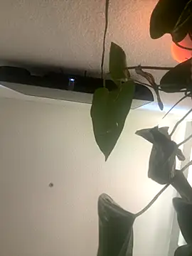 redheadangel 5 online show from November 29, 2025, 10:35 pm