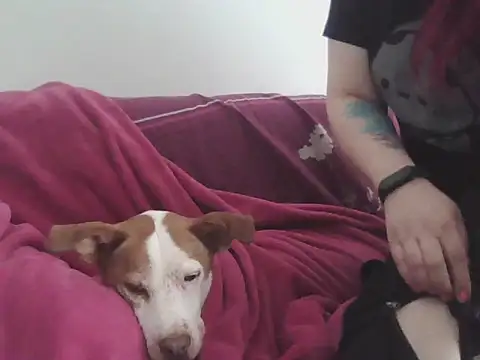 Darkytah online show from February 20, 2026, 3:34 pm