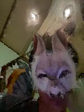 Snapshot of aotaro0721 chatting on February 27, 2026, 4:01 am aotaro0721 online show from February 27, 2026, 4:01 am