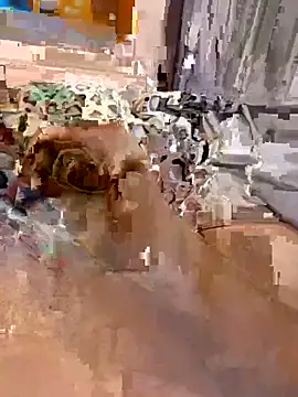 en93000 online show from April 7, 2026, 5:41 am