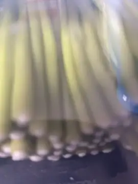 Snapshot of Ghost-Zero chatting on March 21, 2026, 11:59 am Ghost-Zero online show from March 21, 2026, 11:59 am