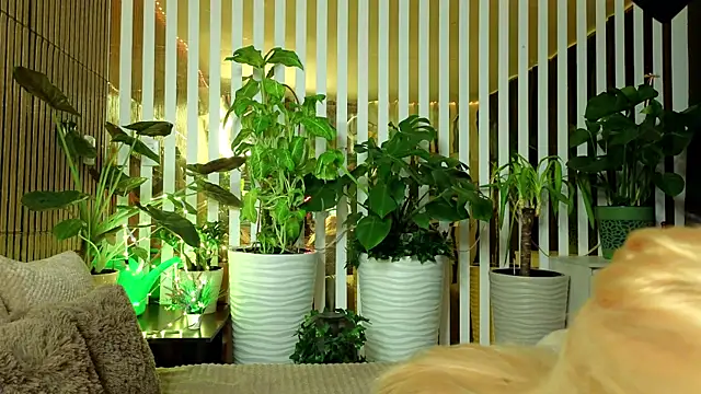 FlowweerGirl online show from December 15, 2025, 9:41 pm