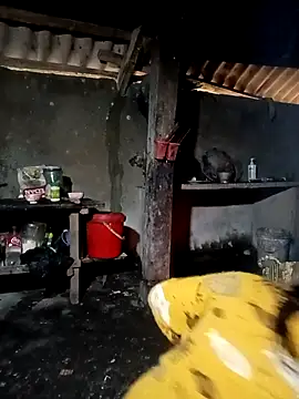 ava-dellght online show from February 1, 2026, 6:34 am