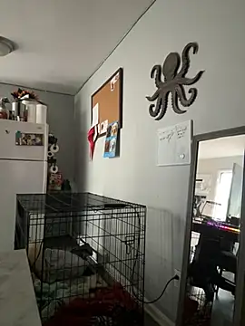 alluringpixie online show from March 22, 2026, 2:09 pm