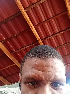 Snapshot of msindo chatting on April 9, 2026, 6:30 am msindo online show from April 9, 2026, 6:30 am