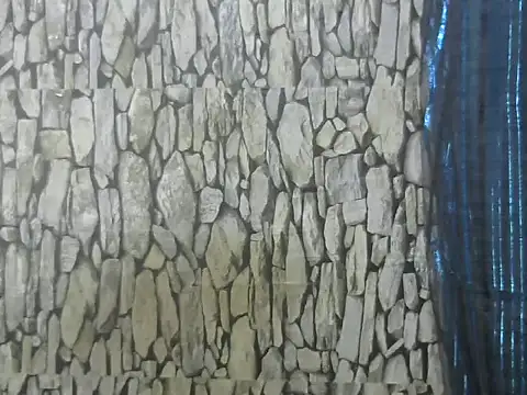 Exotic indian95 online show from March 13, 2026, 6:53 am