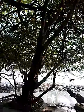 Snapshot of Andreskelly chatting on February 13, 2026, 9:22 pm Andreskelly online show from February 13, 2026, 9:22 pm