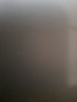 piedic online show from March 3, 2026, 10:21 am